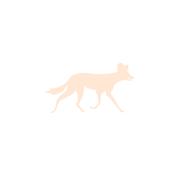 KusKus
